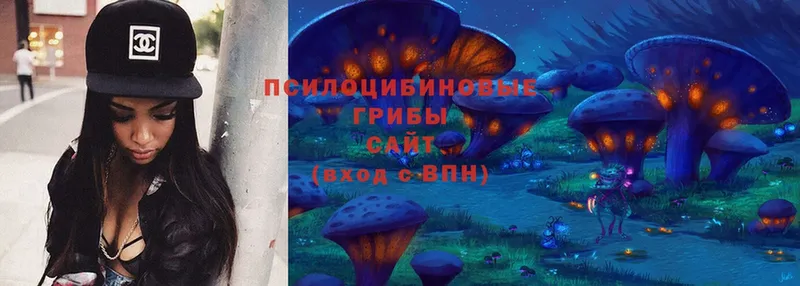 Галлюциногенные грибы Magic Shrooms  Спасск-Рязанский 